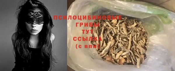 гашик Медвежьегорск