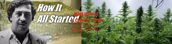 кокс Абдулино